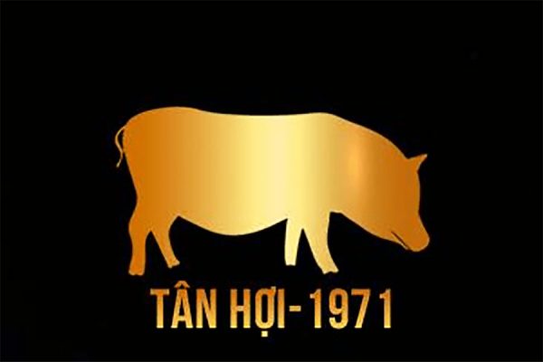 tử vi tuổi tân hợi